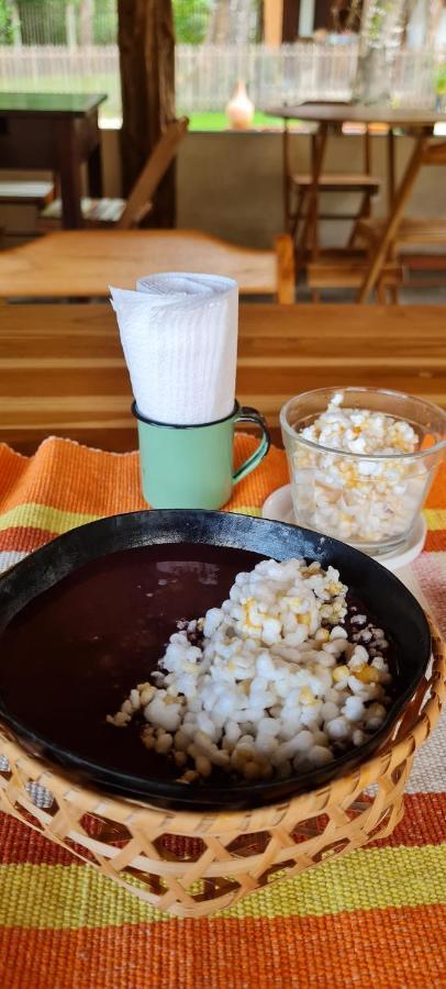 Casa Saimiri Hotell Alter do Chão Eksteriør bilde
